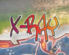 X-[R]aY